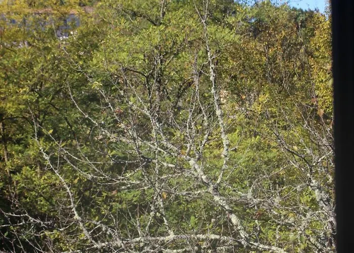 Montcuq, Maison Avec Vue Sur La Tour, Classe 3*** 펜션 Montcuq